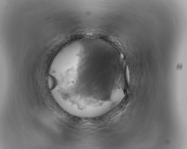 X0000091480913200709061836