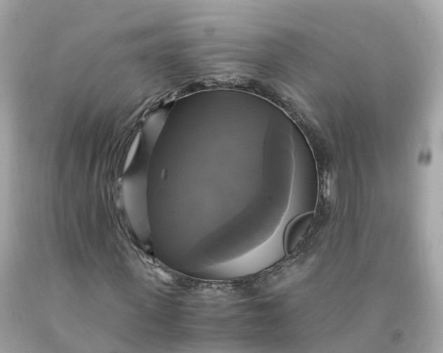 X0000091480915200709061836