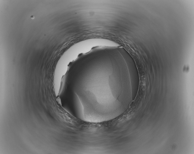 X0000091480916200709061836