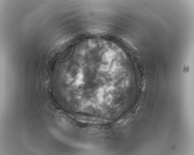 X0000091480917200709061836