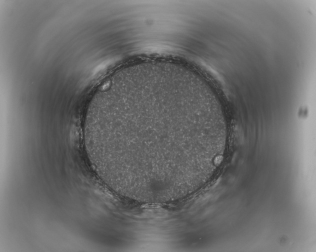 X0000091480918200709061836