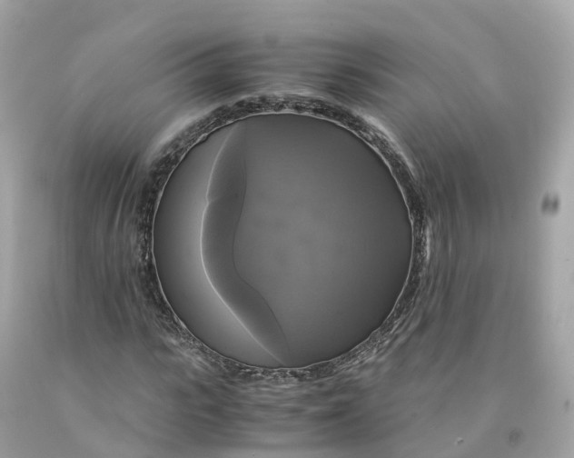 X0000091480919200709061836