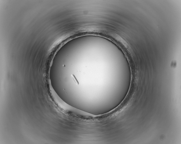 X0000091480922200709061836