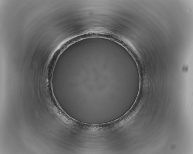 X0000091480923200709061836