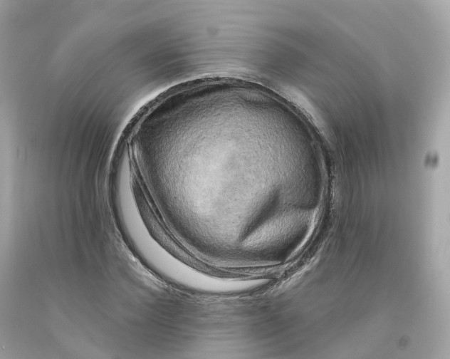 X0000091480924200709061836