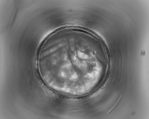 X0000091480925200709061836