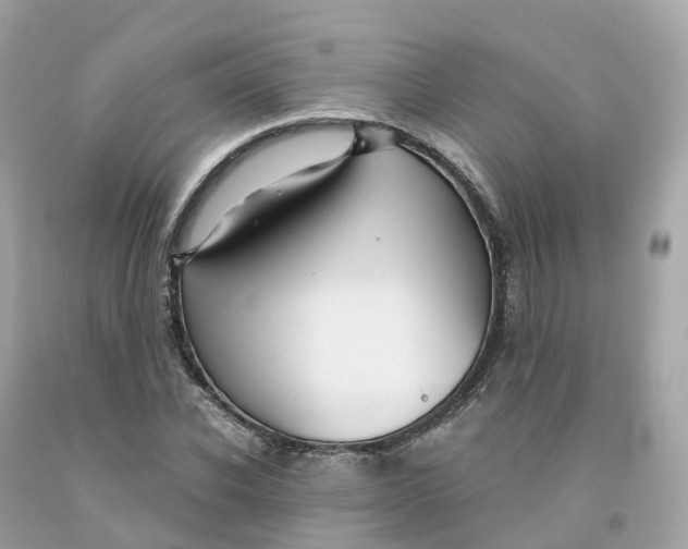 X0000091480926200709061836