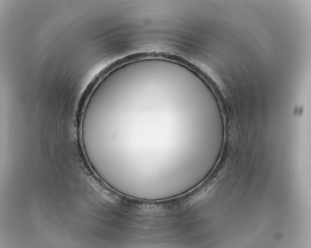 X0000091480927200709061836