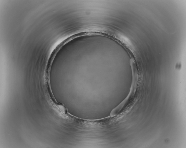 X0000091480928200709061836