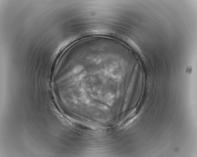 X0000091480930200709061836