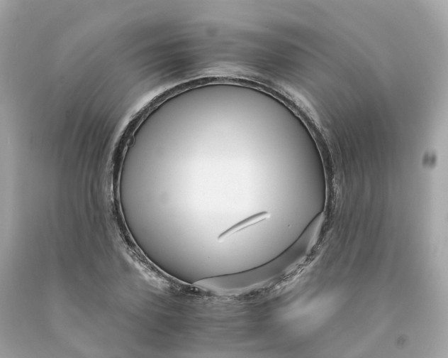 X0000091480931200709061836