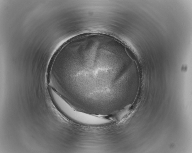 X0000091480932200709061836