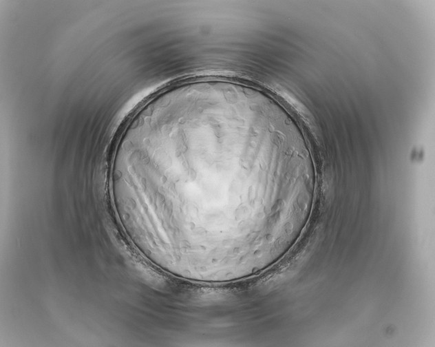 X0000091480933200709061836