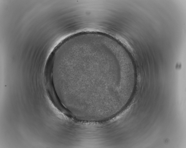 X0000091480934200709061836