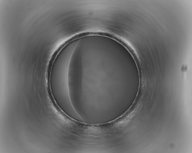 X0000091480935200709061836