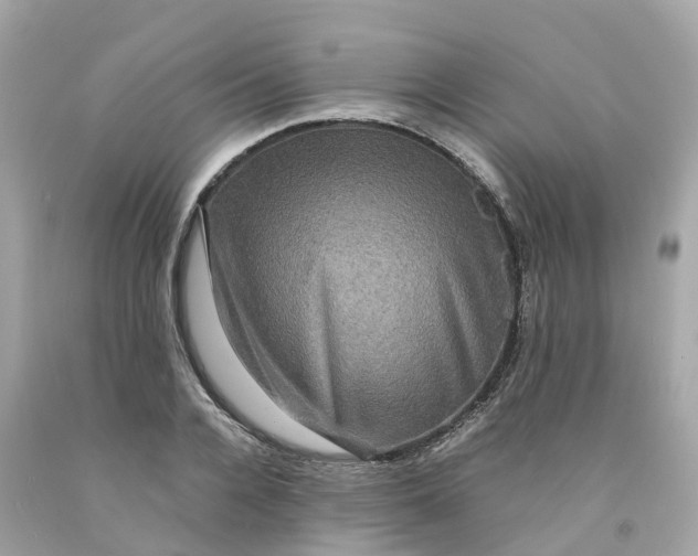 X0000091480936200709061836