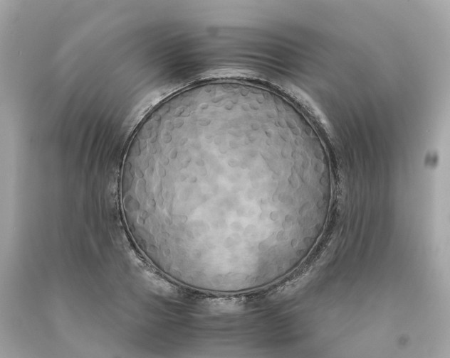 X0000091480937200709061836