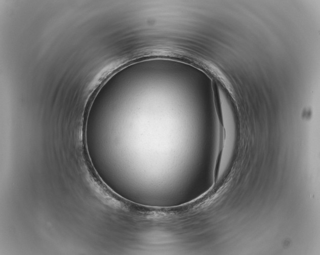 X0000091480938200709061836