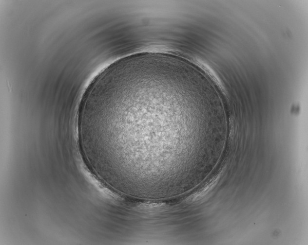 X0000091480939200709061836