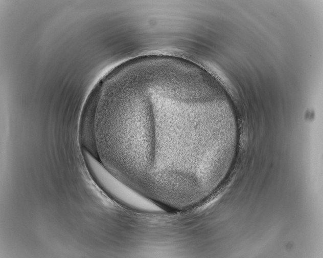 X0000091480940200709061836