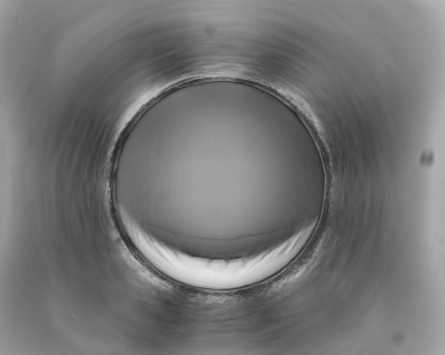 X0000091480941200709061836