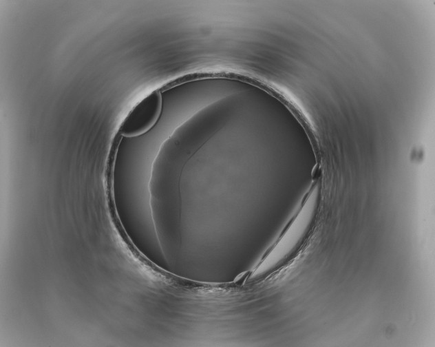 X0000091480943200709061836