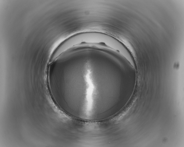 X0000091480944200709061836