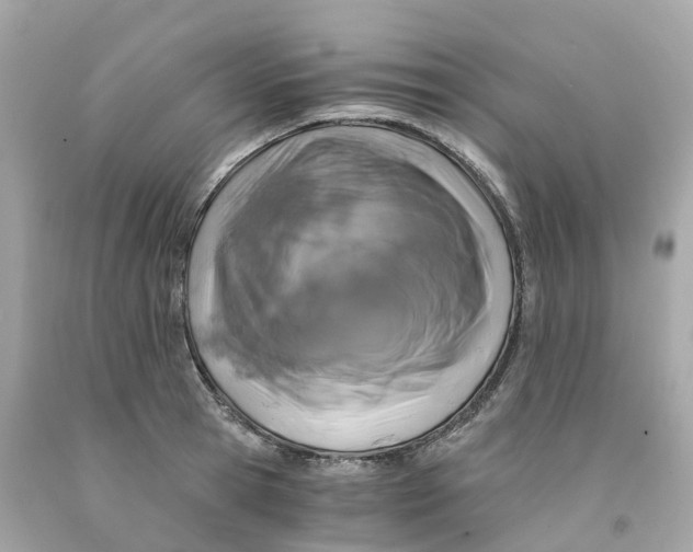 X0000091480945200709061836