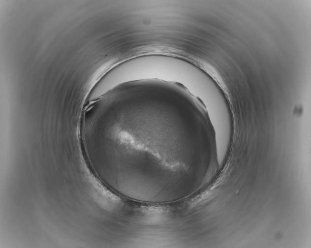 X0000091480946200709061836