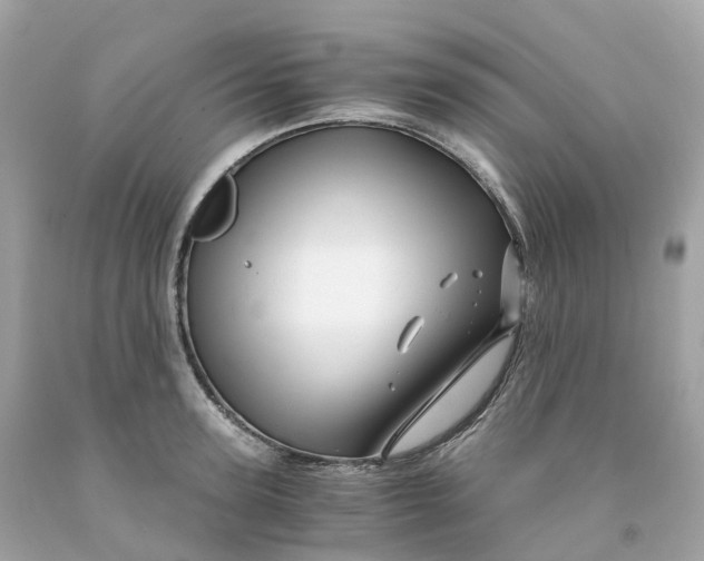 X0000091480947200709061836