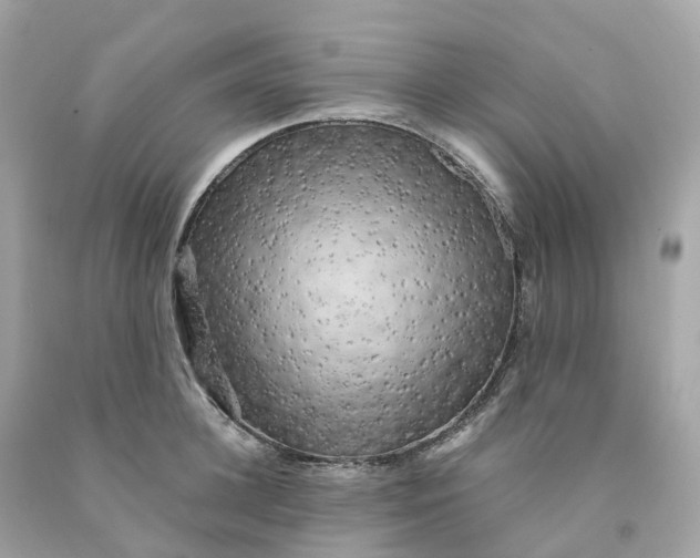 X0000091480948200709061836