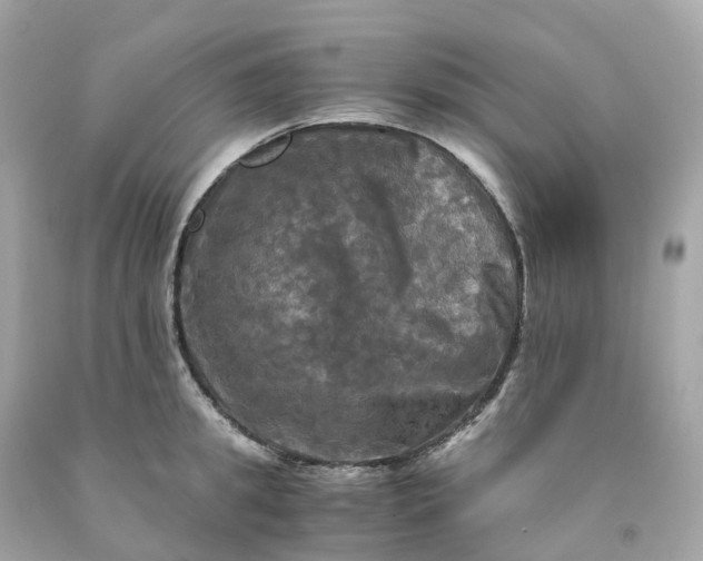 X0000091480949200709061836