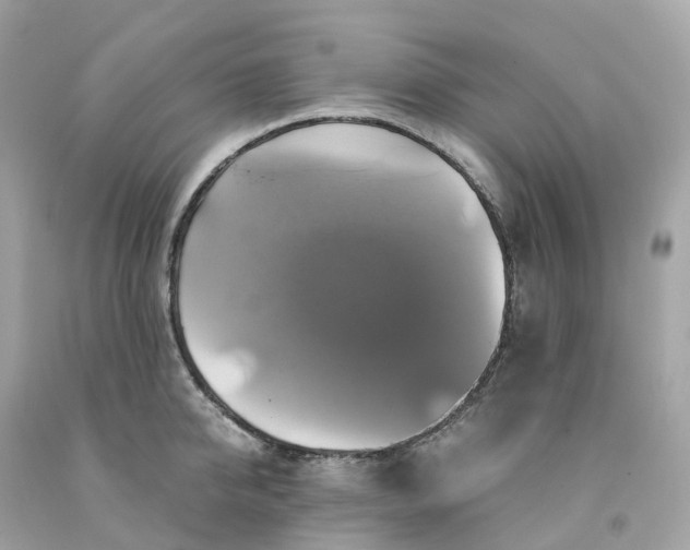 X0000091480950200709061836