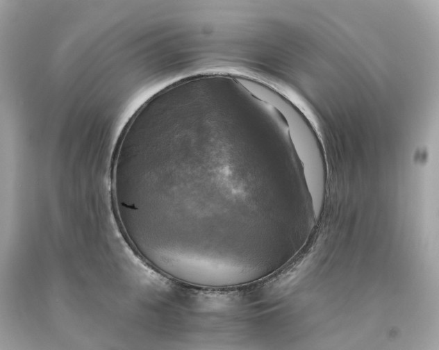 X0000091480951200709061836