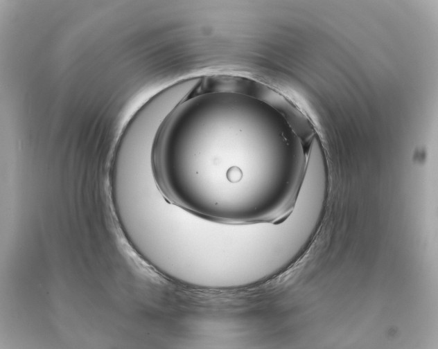 X0000091480952200709061836