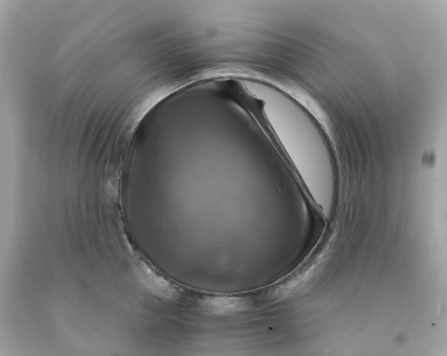 X0000091480953200709061836