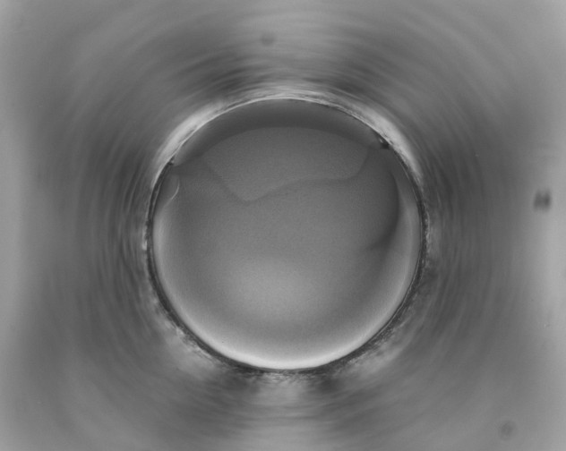 X0000091480954200709061836