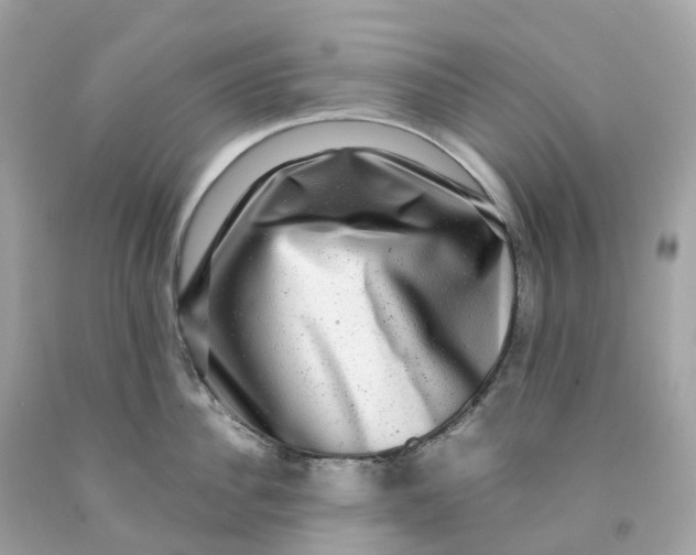 X0000091480956200709061836