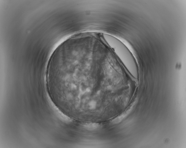 X0000091480957200709061836