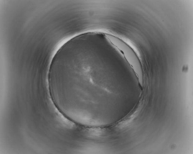 X0000091480959200709061836