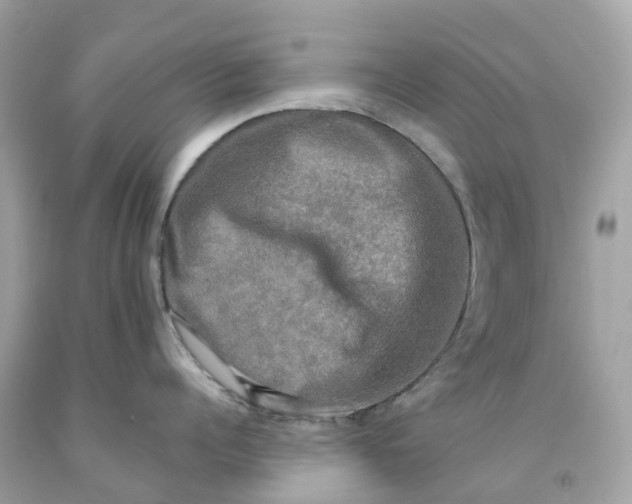 X0000091480960200709061836