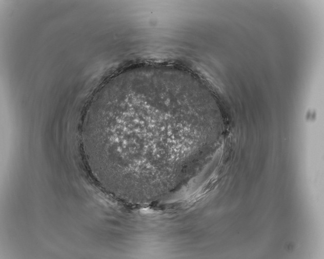 X0000091480961200709061836