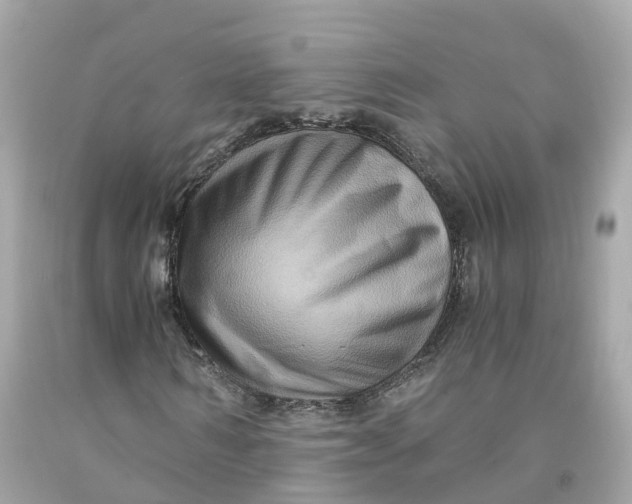 X0000091480962200709061836