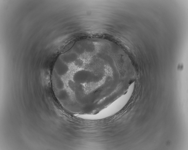 X0000091480963200709061836