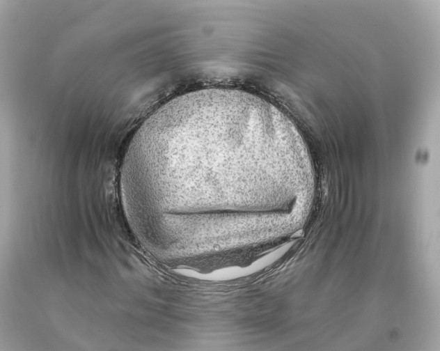 X0000091480964200709061836