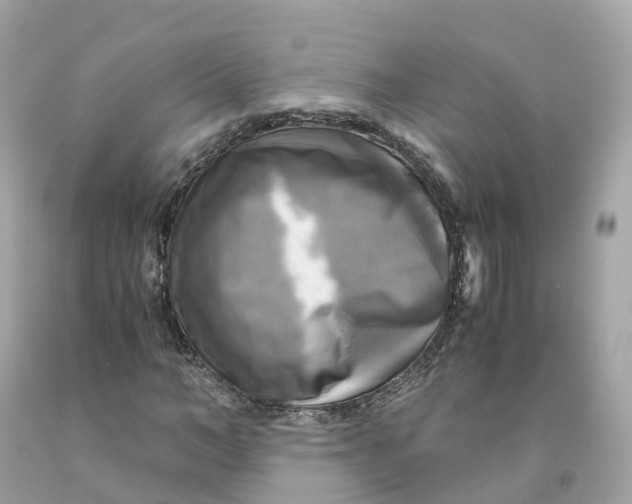 X0000091480966200709061835