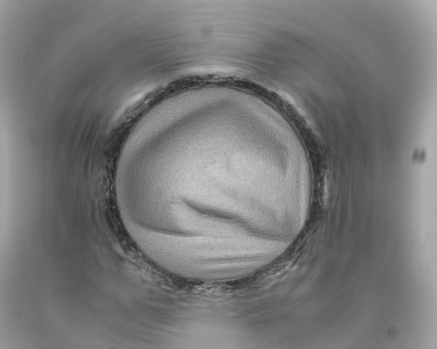 X0000091480967200709061835