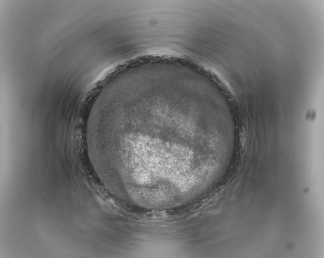 X0000091480968200709061835