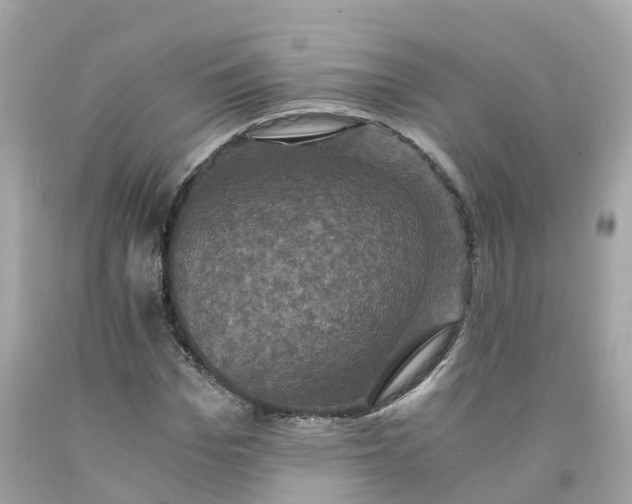 X0000091480969200709061835