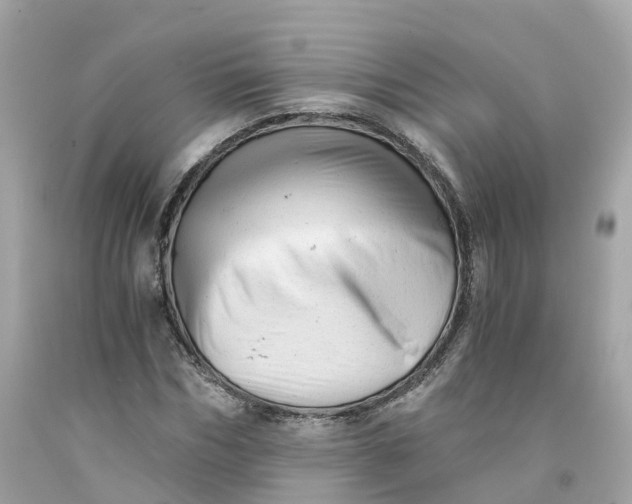 X0000091480970200709061835